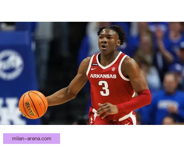 湖人队召回巴夫金与蒂耶罗加强中锋位置深度补充